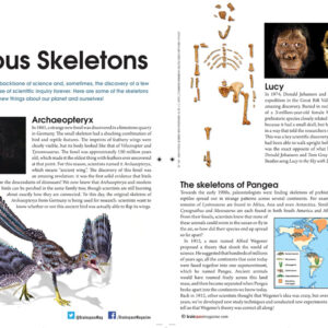 Famous Skeletons article