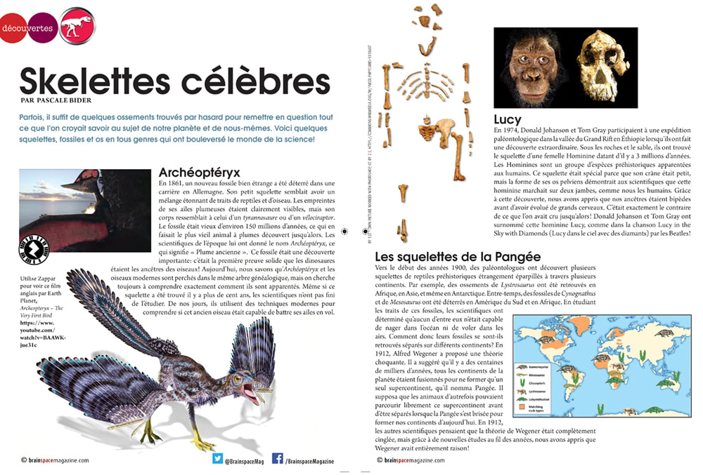 Skelettes Celebres French article