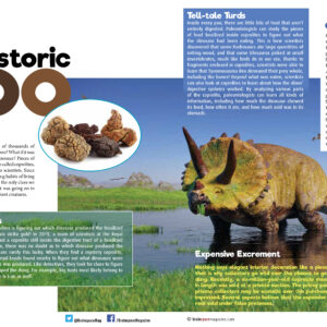 Prehistoric Poo article