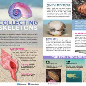 Collecting Exoskeletons article