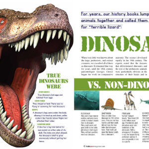 Dinosaur vs. Non-dinosaur article