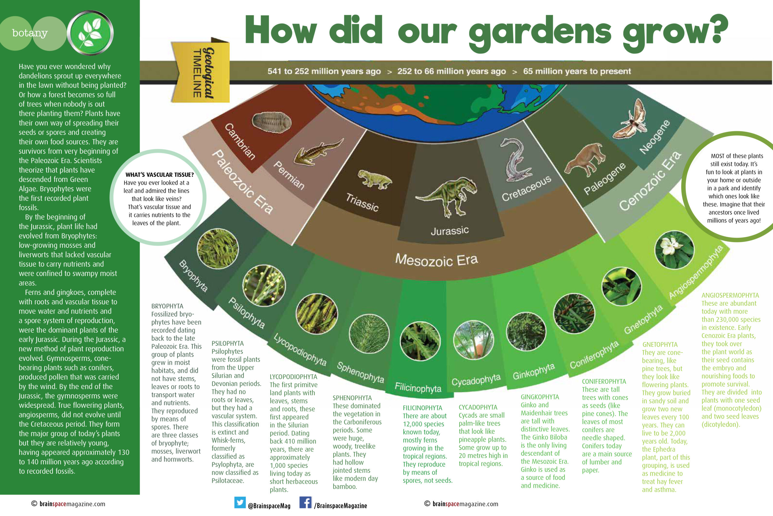 How Did Our Gardens Grow article
