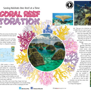 Coral Reef Restoration article