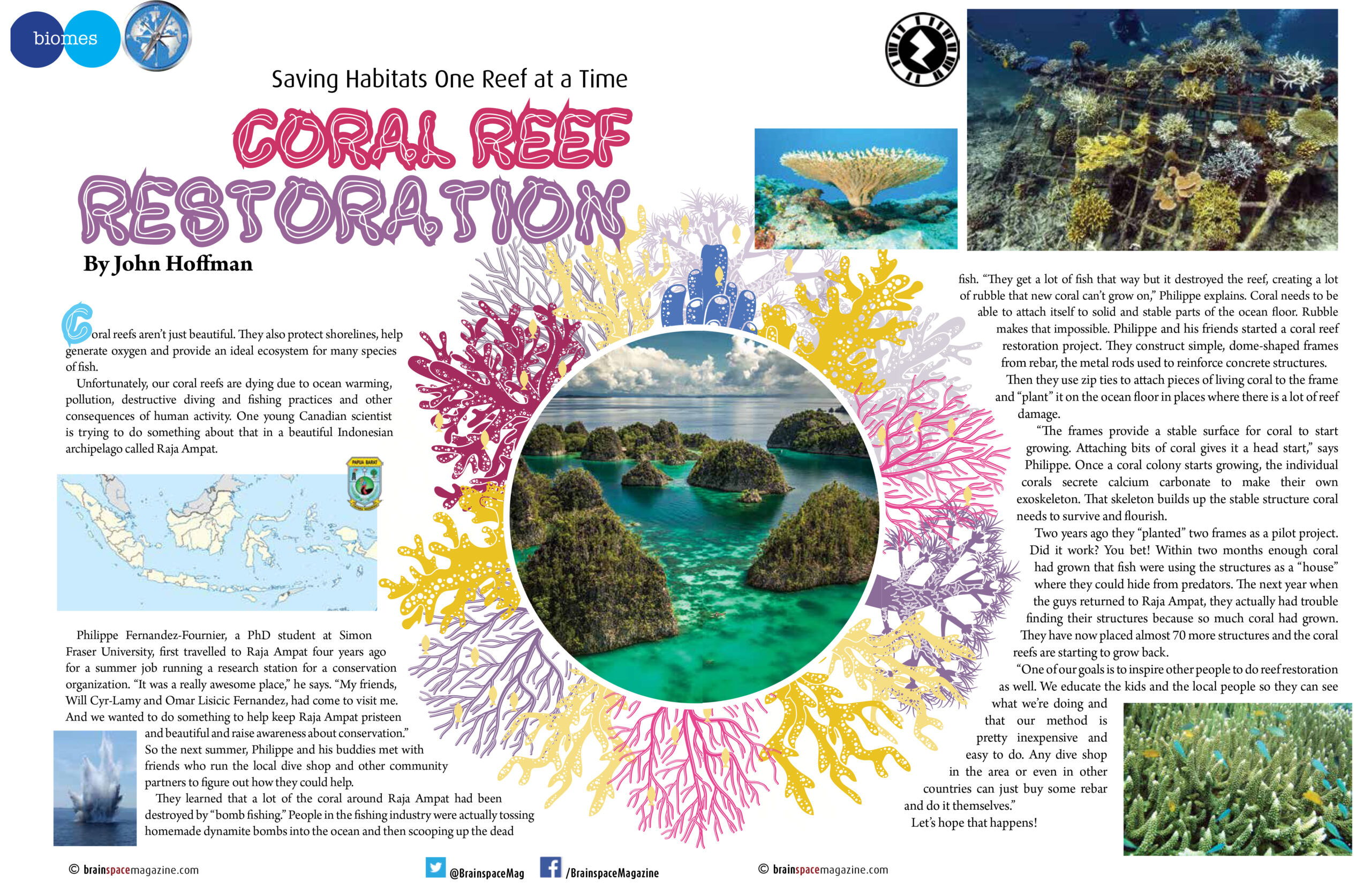 Coral Reef Restoration article