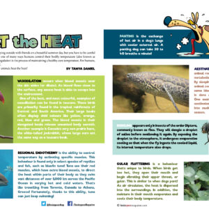 Beat The Heat article