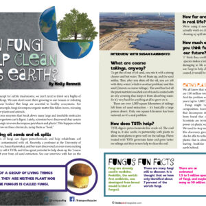 Can Fungi Help Clean The Earth article