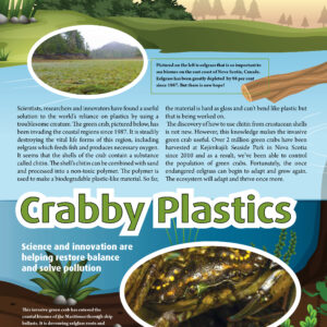 Crabby Plastics article