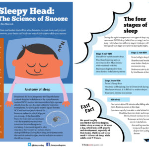 The Science of Snooze: Sleepy Head article