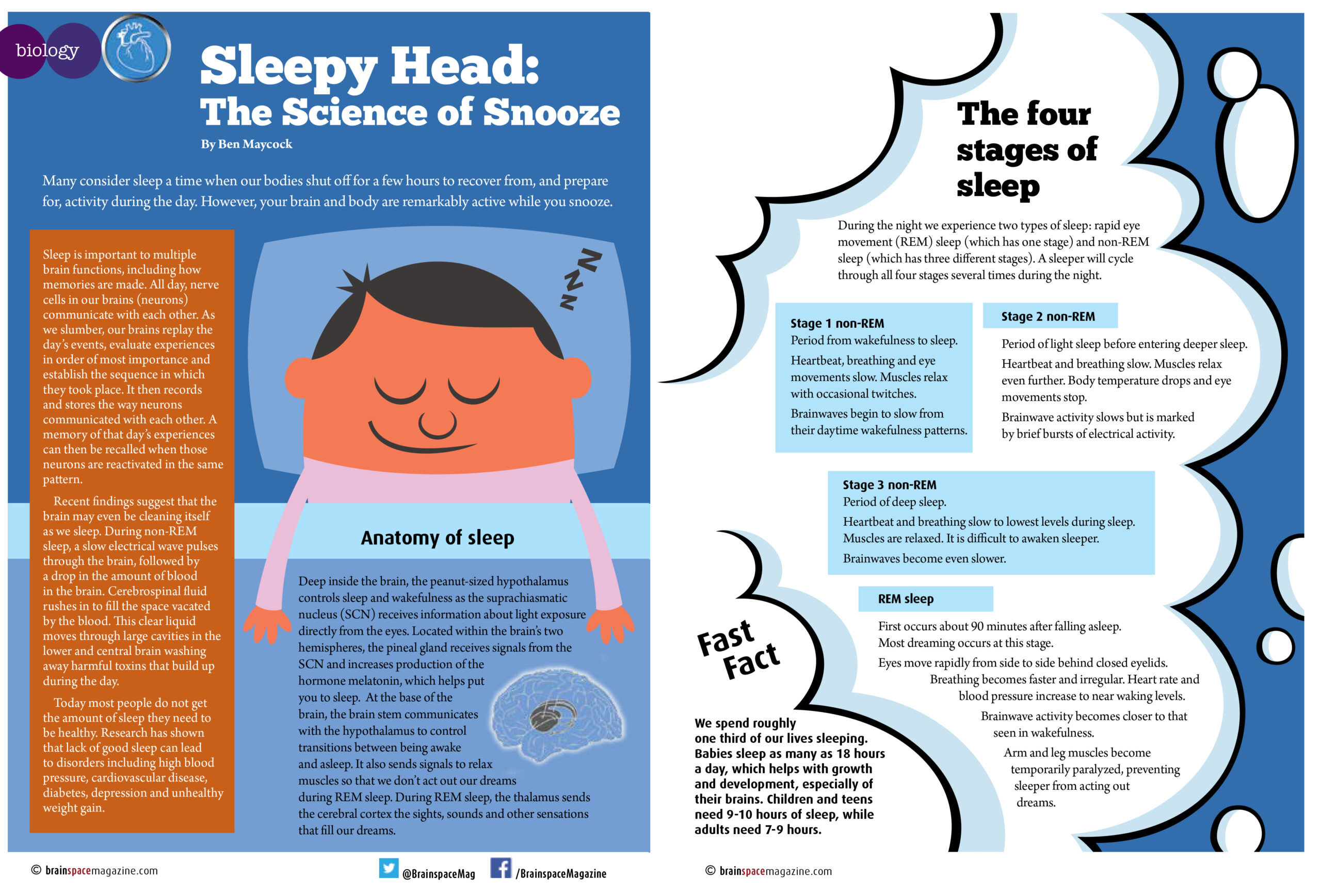 The Science of Snooze: Sleepy Head article