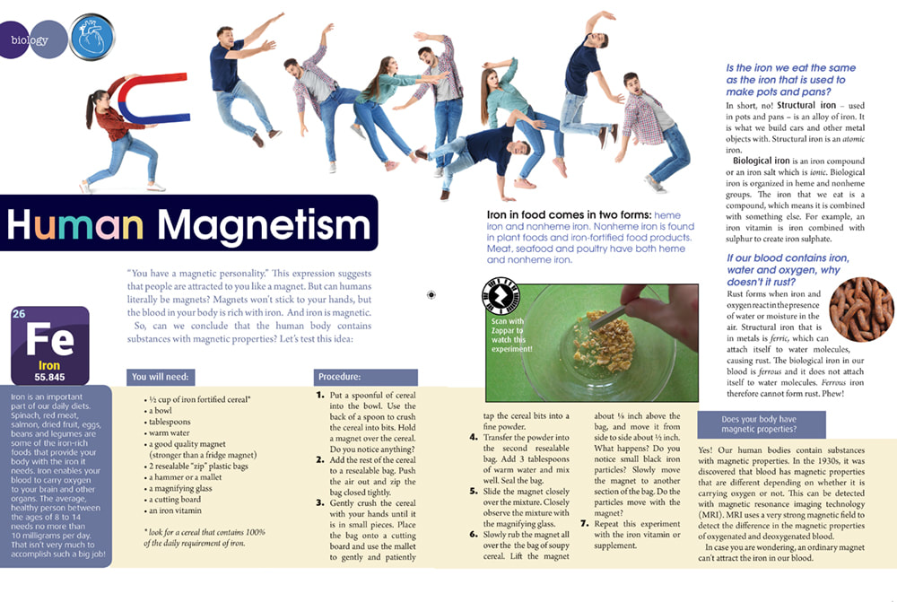 Human Magnetism article