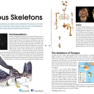 Famous Skeletons Article