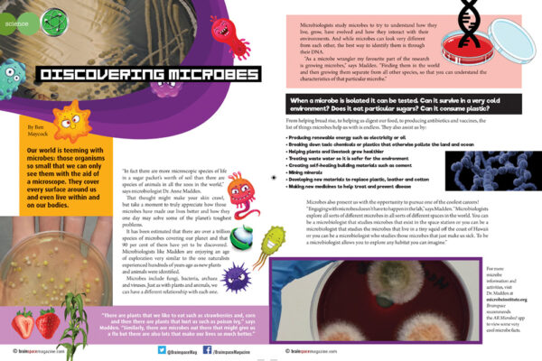 Discovering Microbes Article