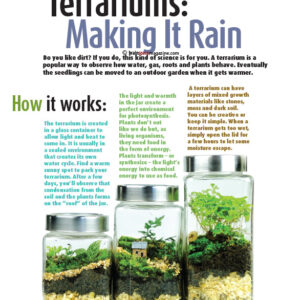 TERRARIUMS: MAKING IT RAIN ARTICLE