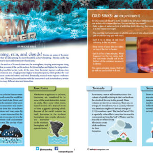 STORM WEATHER ARTICLE