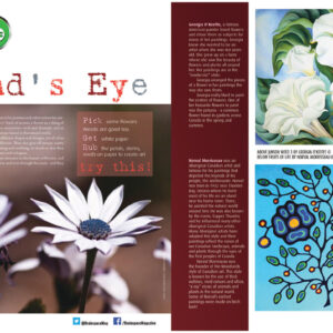 MIND'S EYE ARTICLE
