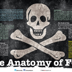 THE ANATOMY OF FEAR ARTICLE