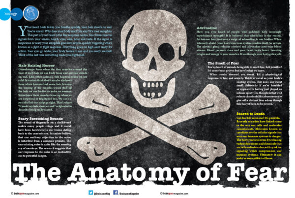 THE ANATOMY OF FEAR ARTICLE