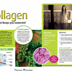 COLLAGEN ARTICLE