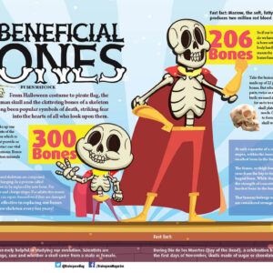 BENEFICIAL BONES ARTICLE