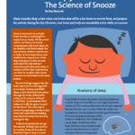 The science of Snooze