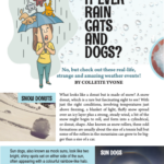 Could it ever rain cats and dogs article