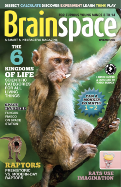 Brainspace Magazine - Brainspace Magazine : Brainspace Magazine